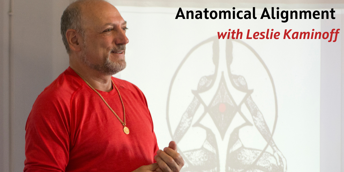 anatomical alignment with leslie kaminoff