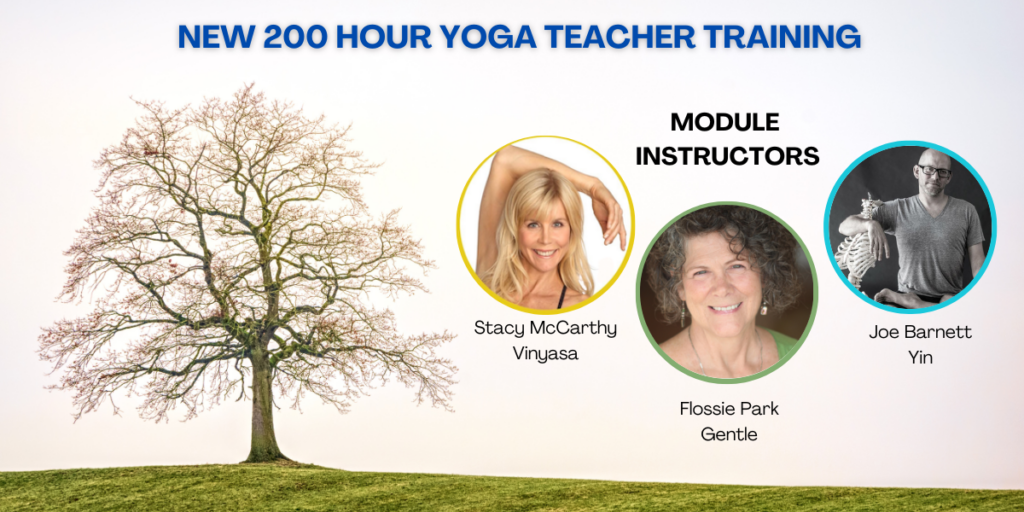 200Hr Yoga Teacher Training Information Session