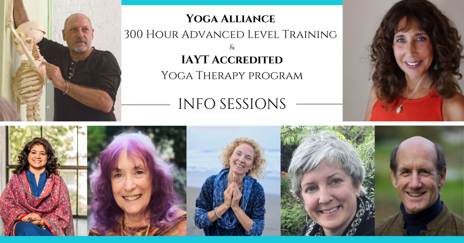 yoga alliance 300 hour advanced level training iayt accredited yoga therapy program