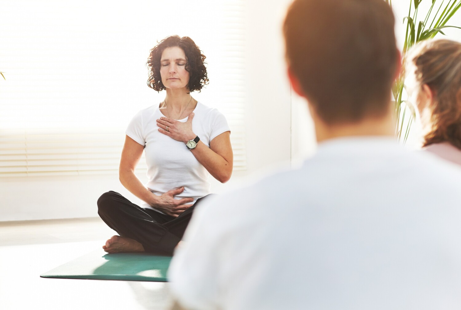 AdobeStock_1443876479 cropped