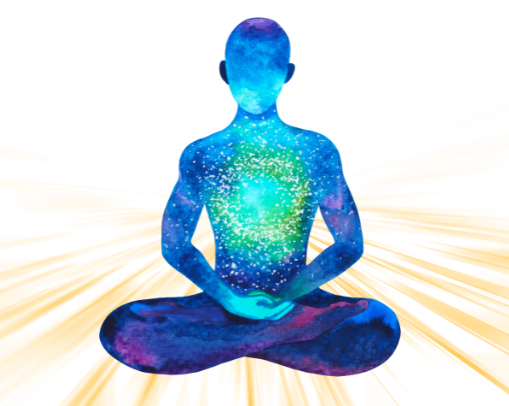 vedic astrologer